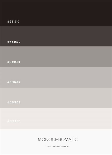 Monochromatic Color Palette