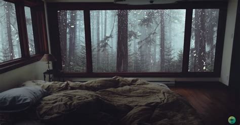 Rain in the forest in 2021 | Rain sounds for sleeping, Relaxing rain sounds, Misty forest