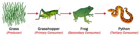 Question #b4bf7 + Example