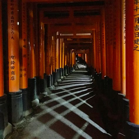 Fushimi Inari shrine at night, Kyoto. First time as a photographer. | Kyoto Family Photo