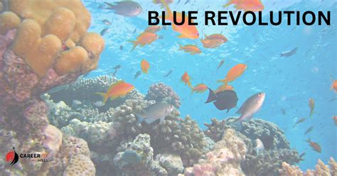 Blue Revolution in India - An Overview - CareerByWell