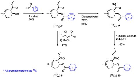 Molecules | Free Full-Text | Economical Synthesis of 13C-Labeled ...