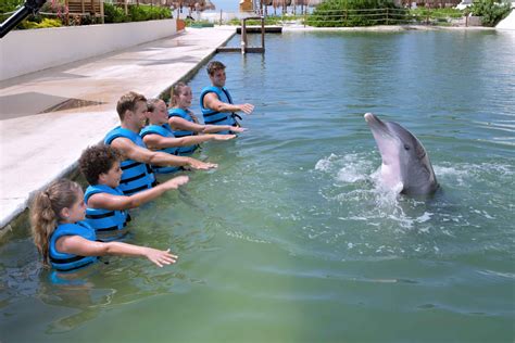 Dolphin Ride In Punta Cancun