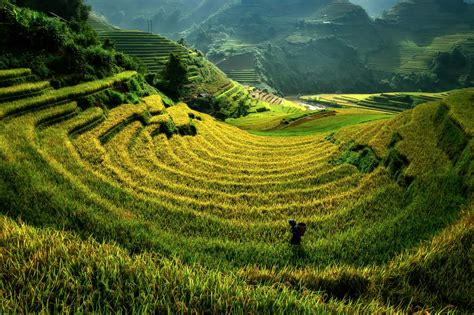 *🇻🇳 Terraced rice field (Mu Cang Chai, Vietnam) by Jakkree Thampitakkul on 500px 🌾 | Landscape ...