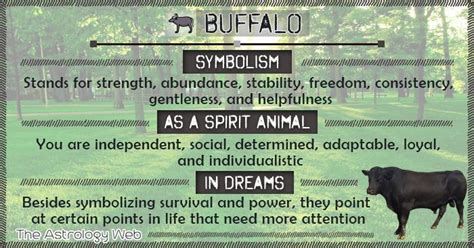 Buffalo Symbolism Spirit Animal Dream | Spirit animal, Spirit animal meaning, Dream meanings