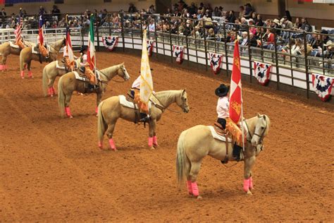 Fort Worth Rodeo March 2024 - Alene Aurelie