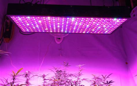 Top 10 Best LED Grow Lights For Growing Cannabis Reviewed for 2019