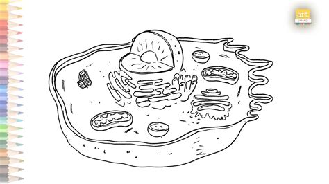 Animal cell diagram easy | How to draw A Animal cell diagram step by step | Animal cell drawing ...