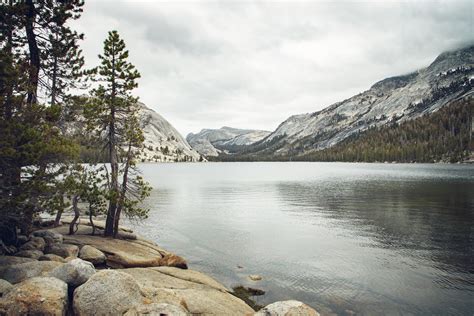 Tenaya Lake (Yosemite National Park) — Flying Dawn Marie | Travel blog ...