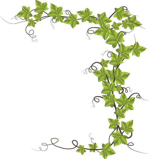 Free Clipart Of An ivy border