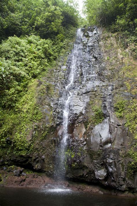 Pohnpei waterfalls | Travel Story and Pictures from Federated States of ...