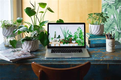 Office Cubicle Plants