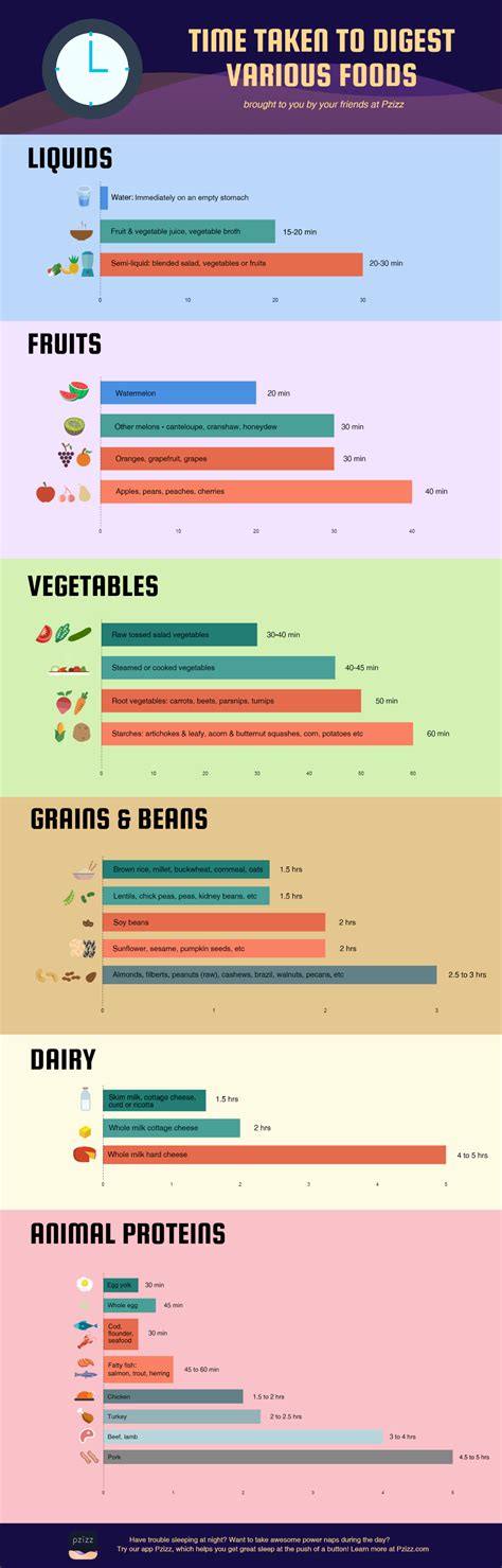 How Long Does it Take to Digest Food? - Pzillow Talk