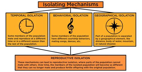 Reproductive Isolation — Definition & Examples - Expii