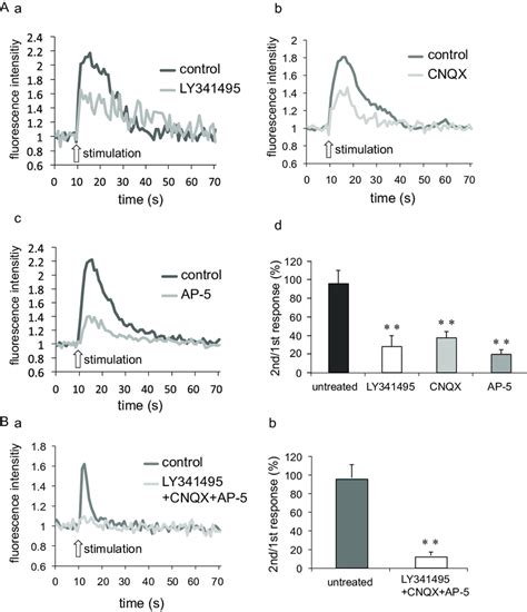 Involvement of ionotropic and metabotropic glutamate receptors in focal ...