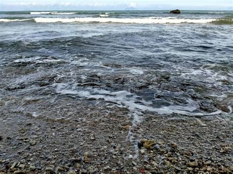 Photo of Fossil Coral Reef Close-up at the Beach Stock Image - Image of rock, gravel: 260523267