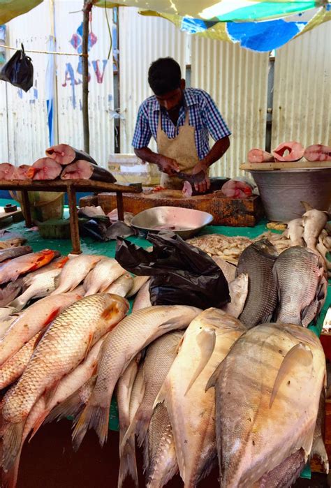 Chennai fish market – Will In India – Adventures from the other side of ...