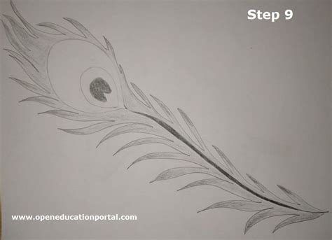 How to Draw a Peacock Feather | Easy Step Wise Guide