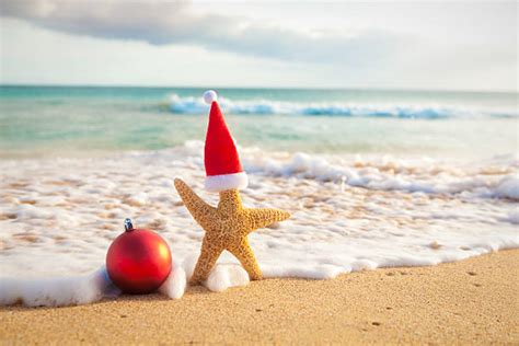 Christmas In Hawaii Pictures, Images and Stock Photos - iStock