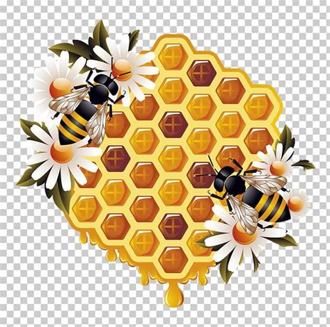 Honey Bee Beehive Bumblebee PNG, Clipart, Animal, Animals, Bee, Bee ...