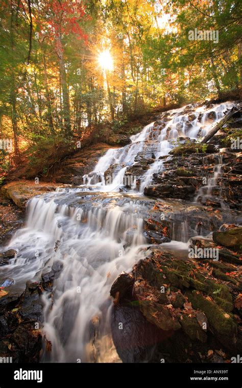 Vogel state park waterfall trail hi-res stock photography and images - Alamy