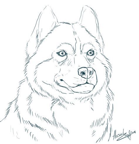 REALISTIC LINE DRAWINGS - Google Search Dog Coloring Page, Animal Coloring Pages, Colouring ...