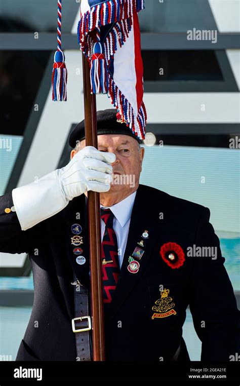 A Military Veteran flag bearer stands to attention on Remembrance ...