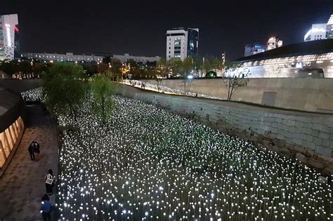 Dongdaemun Design Plaza (동대문디자인플라자) & DDP LED Rose Garden