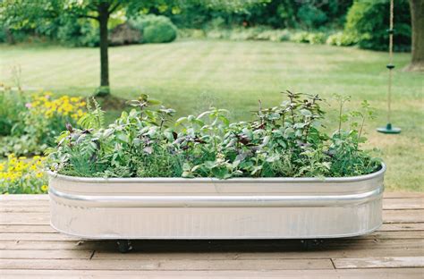 Creative Ways to Use Cattle Troughs in the Garden • Gardenary