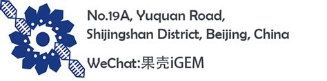 Team:UCAS-China - 2019.igem.org