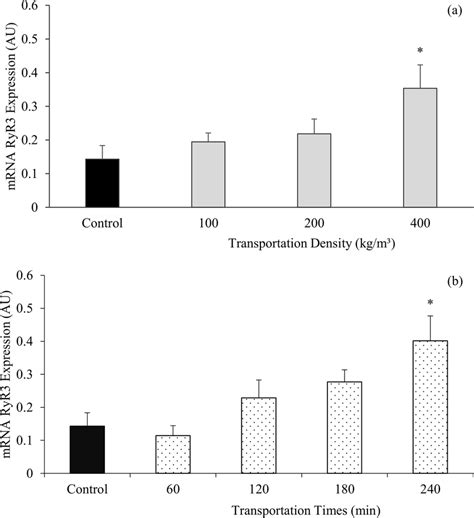 Protein receptor ryanodine type 1 gene expression in muscle. Nile ...