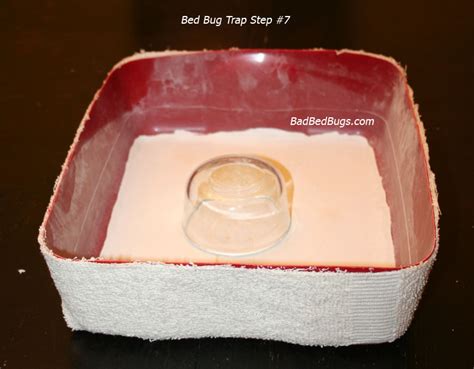 How to Make a Bed Bug Trap