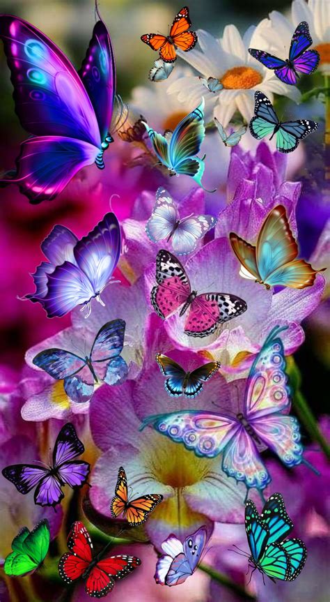 Blue Butterfly Wallpaper, Fairy Wallpaper, Cellphone Wallpaper Backgrounds, Wallpaper Nature ...