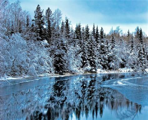 winter scenery in the north of Sweden - ePuzzle photo puzzle