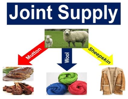 What is joint supply? Definition and examples - Market Business News