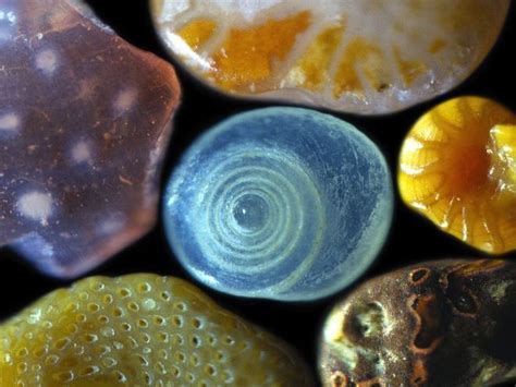 Sand Looks Unbelievably Cool Under a Microscope | Wired Design | Wired.com | Microscopic ...