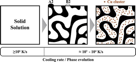 Schematic illustrations of concentration profiles corresponding to... | Download Scientific Diagram