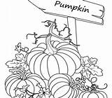 Free Printable Thanksgiving Pumpkin Coloring Pages sketch template