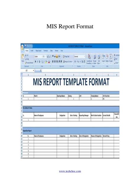 Mis report format