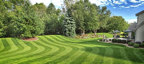 Lawn Care Contractor in Las Vegas NV | Fall lawn, Lawn maintenance ...