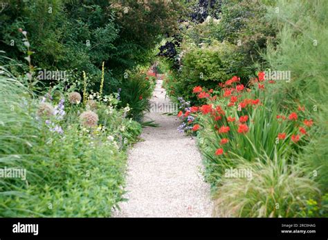 English garden borders full of flowering plants Stock Photo - Alamy