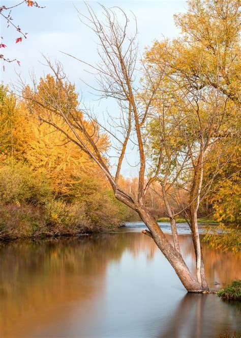 Boise River with Fall Tree Colors Reflecting Stock Image - Image of river, water: 79696227