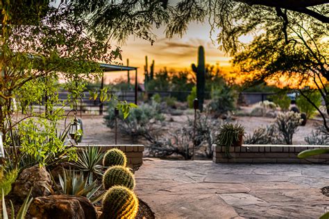 How to Maintain Desert Landscaping | MasterAZscapes LLC