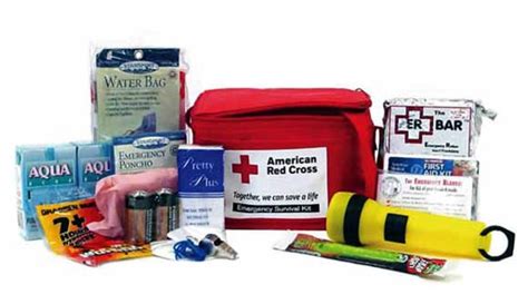 OFFICIAL EARTHQUAKE PREPAREDNESS KIT from the State of California. Be prepared!