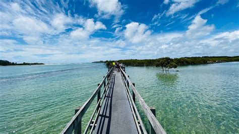 Urunga Boardwalk, NSW - YouTube