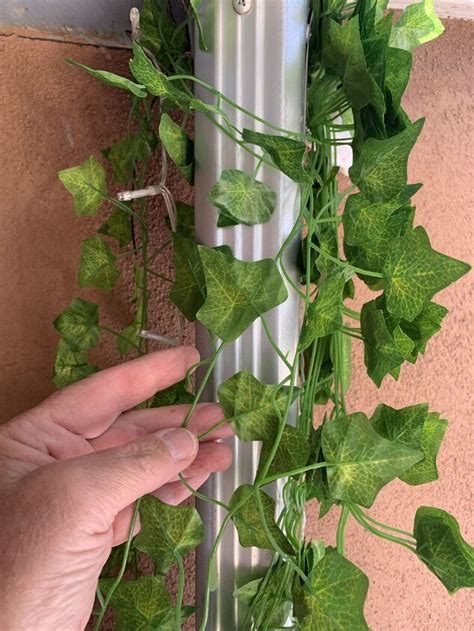 DIY Drain Pipe Concealment...With Ivy and Fairy Lights...So Easy! | Hometalk