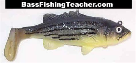 Yellow Bass Fishing - Bass Fishing Teacher