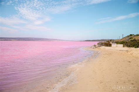 Hutt Lagoon - How to visit WA's Pink Lake in 2024