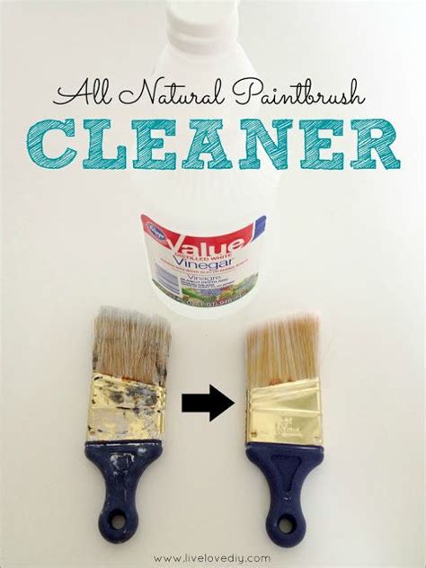 10 Vinegar Cleaning Secrets | Cleaning paint brushes, Vinegar cleaning, Painting tips