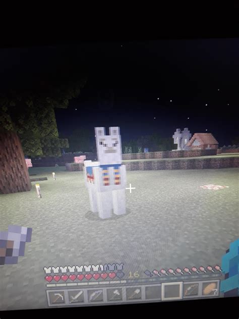 Found a Llama from a wandering villager, but no wandering villager. How ...